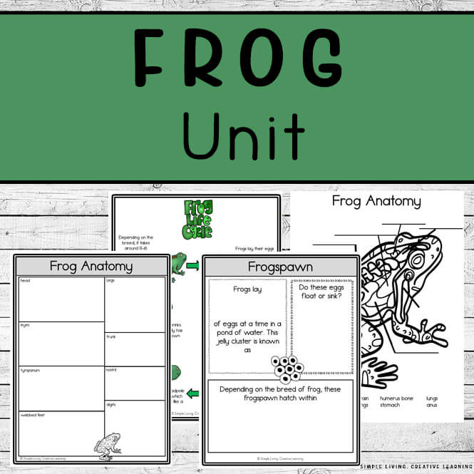 Frog Unit
