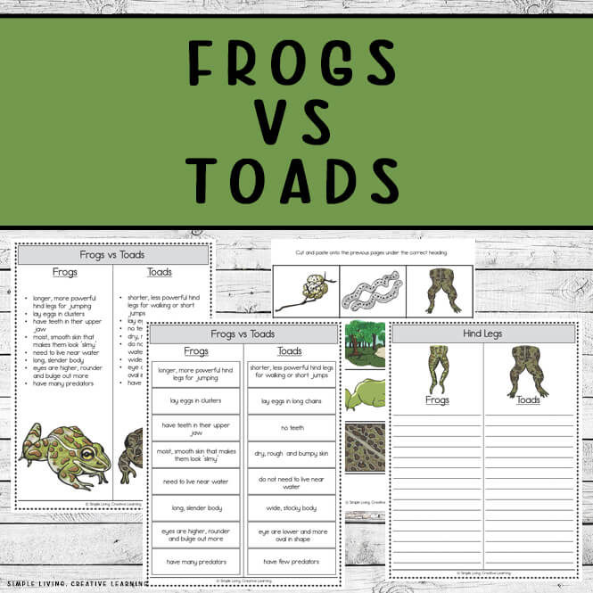 Frogs Vs Toads Printables