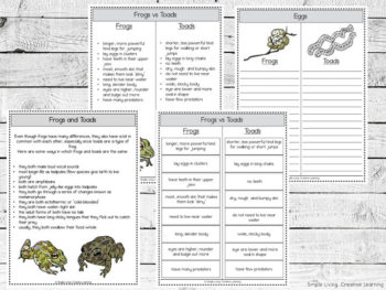 Frogs Vs Toads Printables - Simple Living. Creative Learning