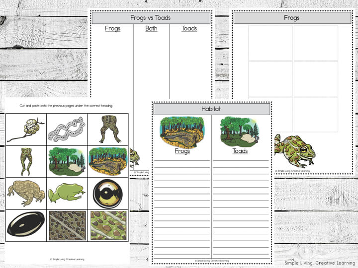 Frogs Vs Toads Printables