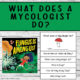 What does a Mycologist do?