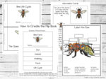 Bee Life Cycle Printable Pack - Simple Living. Creative Learning