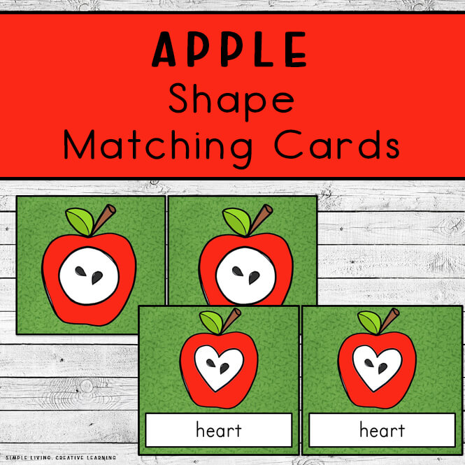 2D Apple Shape Matching Cards