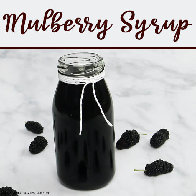 How to Make Mulberry Syrup
