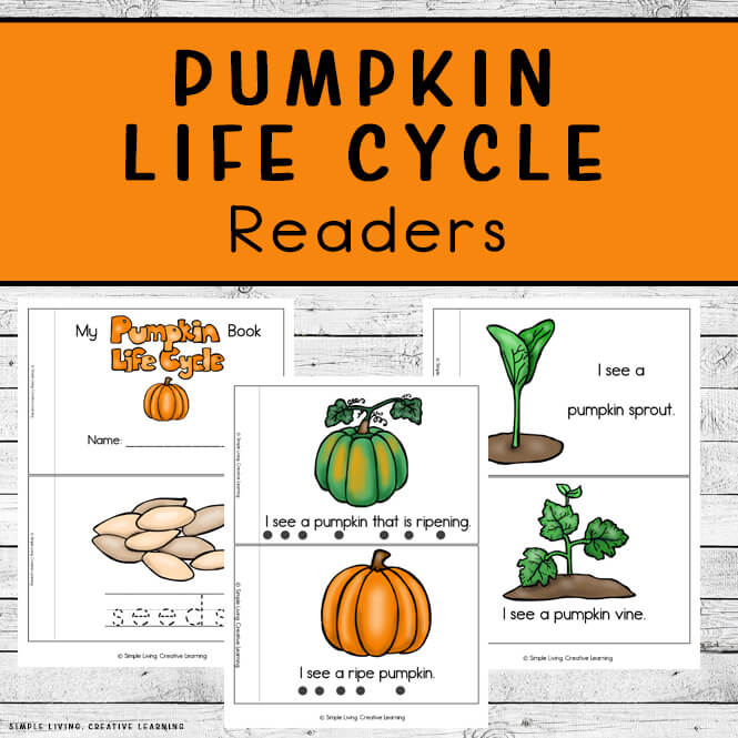 Pumpkin Life Cycle Readers