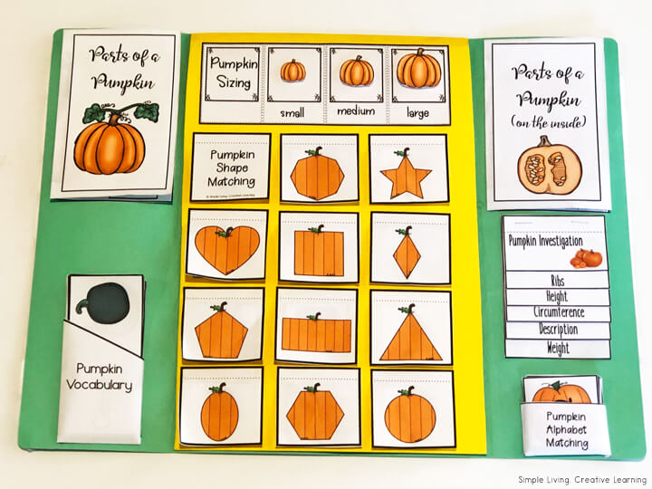 Pumpkin Life Cycle Lapbook