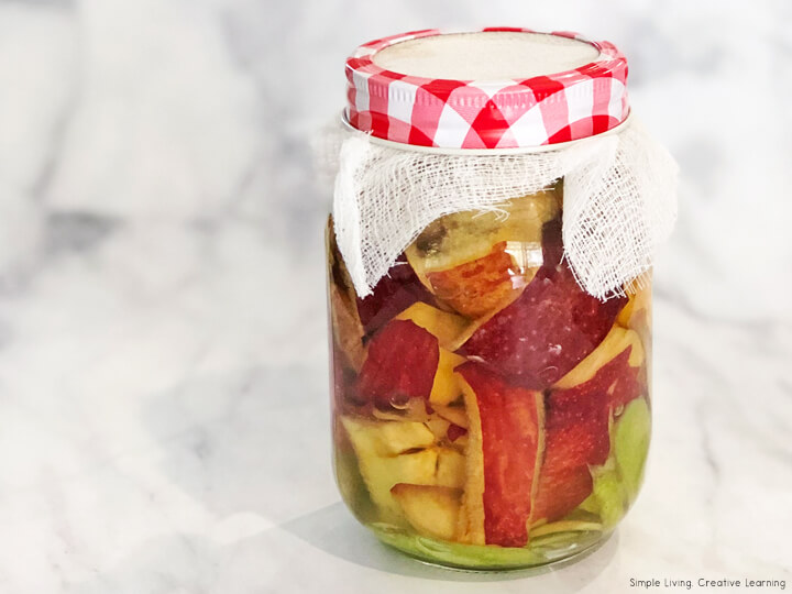 How to Make your Own Scrappy Apple Cider Vinegar