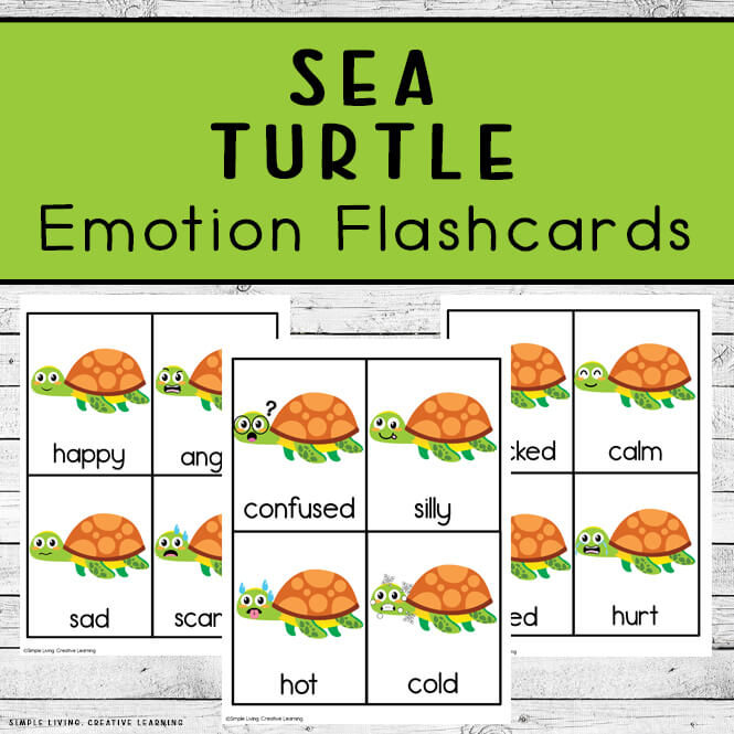 Sea Turtle Emotion Flashcards