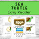 Sea Turtle Life Cycle Easy Read Books