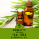 5 Benefits of Using Tea Tree Essential Oil {Melaleuca}