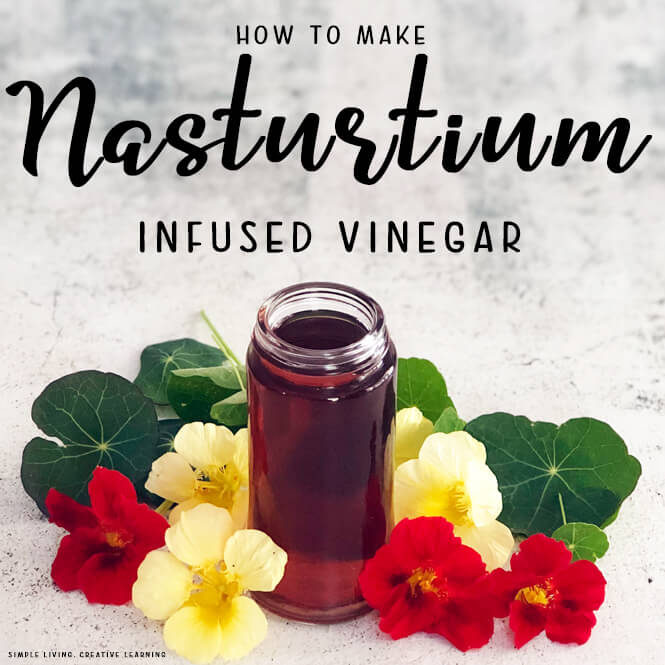 Nasturtium Infused Vinegar