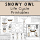 Snowy Owl Life Cycle Printables
