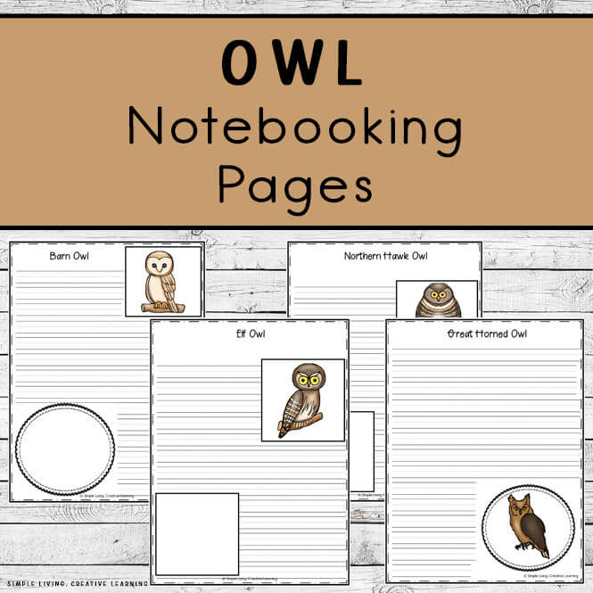 Owl Notebooking Pages