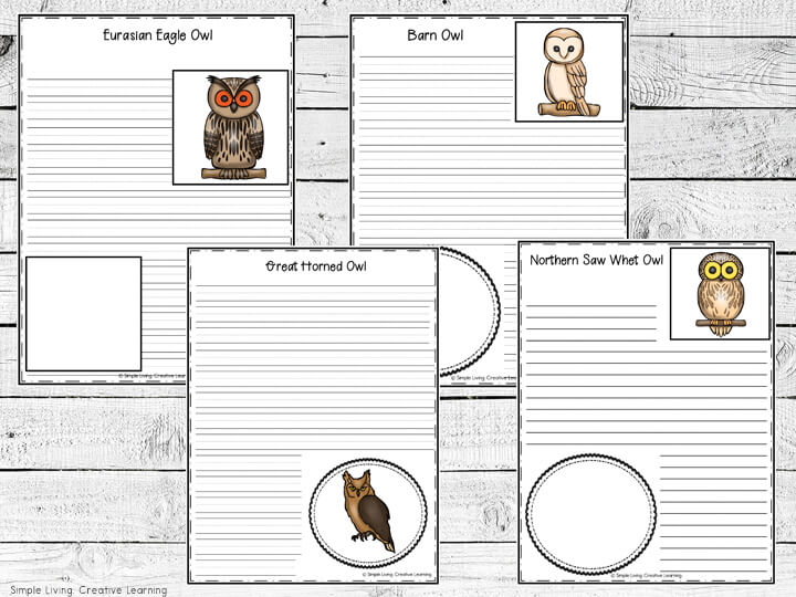 Owl Notebooking Pages