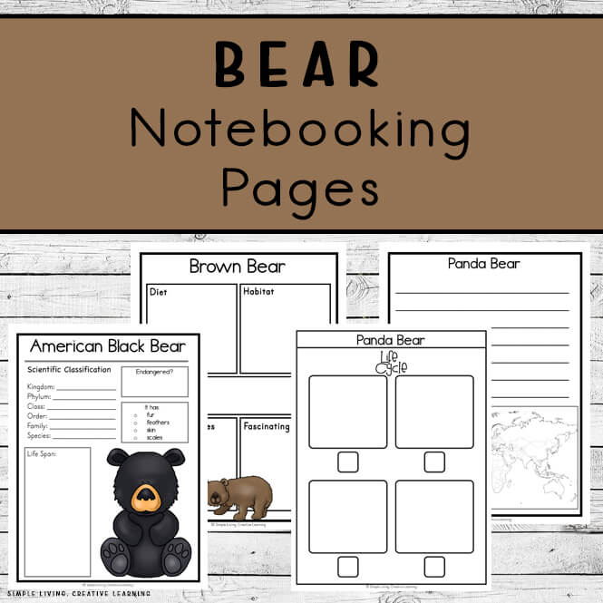 Bear Notebooking Pages