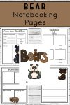 Bear Notebooking Pages