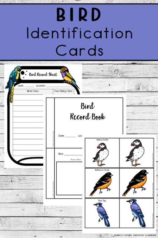 Bird Identification Cards Simple Living Creative Learning
