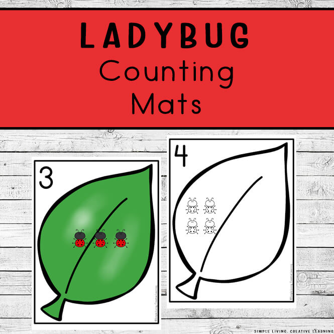 Ladybug Counting Mats