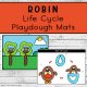 Robin Life Cycle Playdough Mats