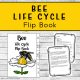 Bee Life Cycle Flip Book