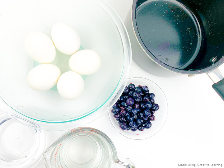 Blueberry Dyed Eggs