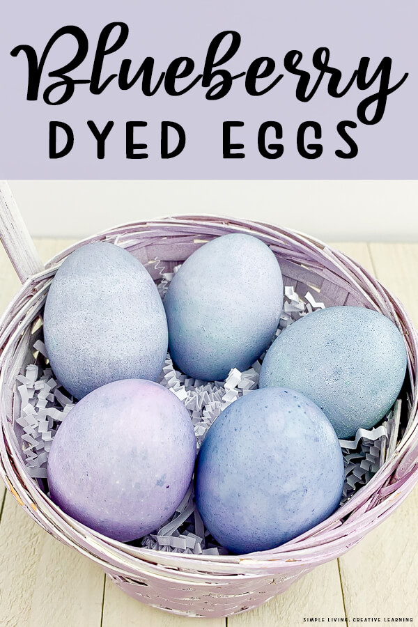 Blueberry Dyed Eggs