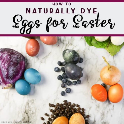 Naturally Dye Eggs for Easter