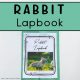 Rabbit Lapbook