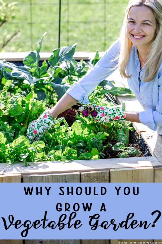 Why Should you Grow a Vegetable Garden? - Simple Living. Creative Learning