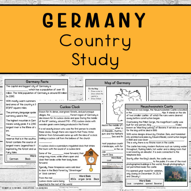 Germany Country Study