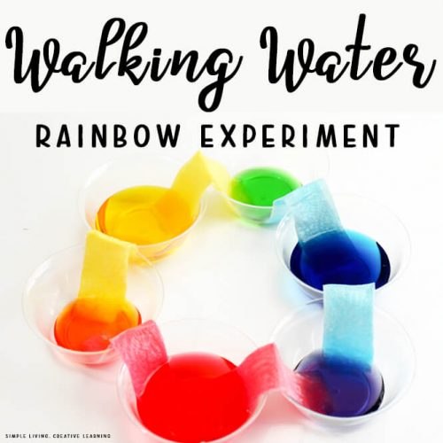 Walking Water Rainbow Experiment