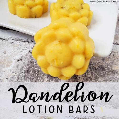 Homemade Dandelion Lotion Bars