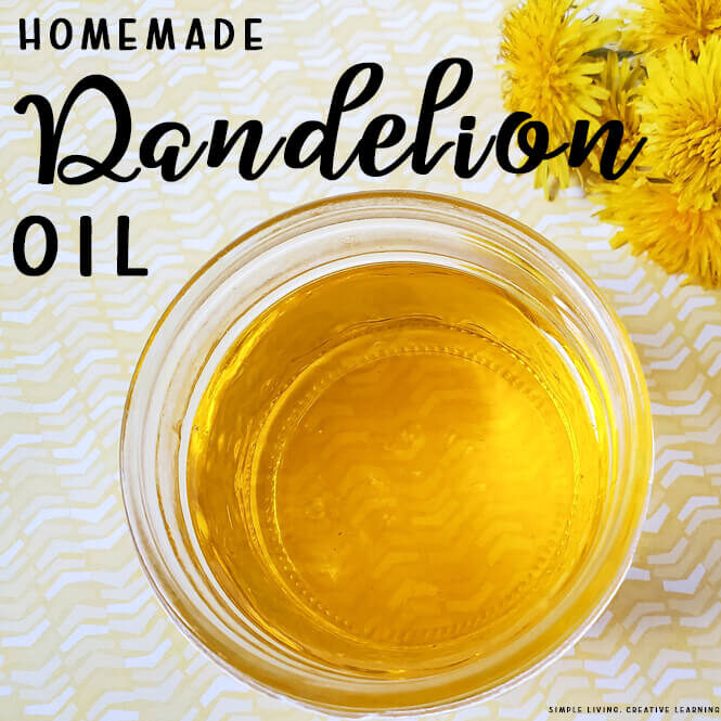 Homemade Dandelion Oil
