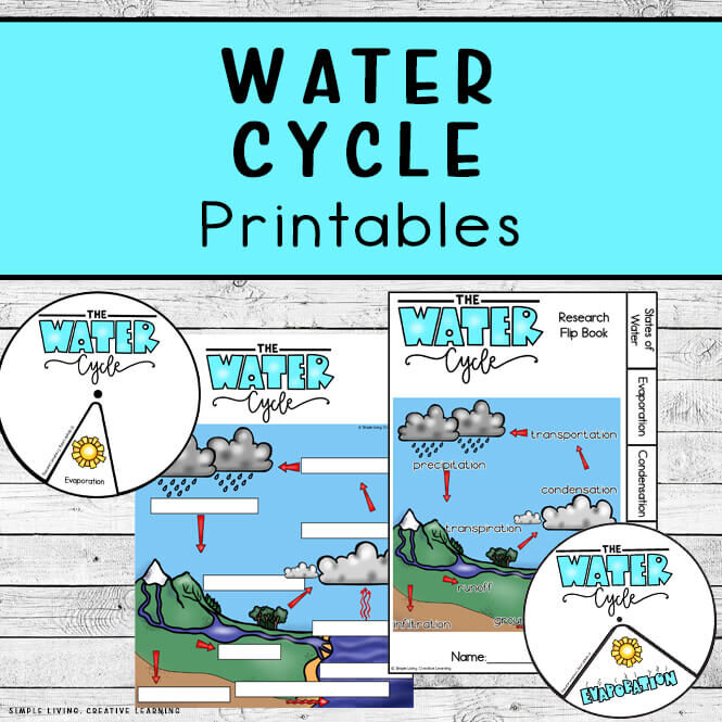 Water Cycle Printables