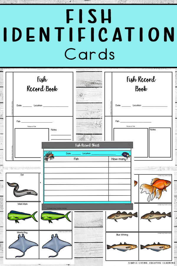 Fish Identification Cards