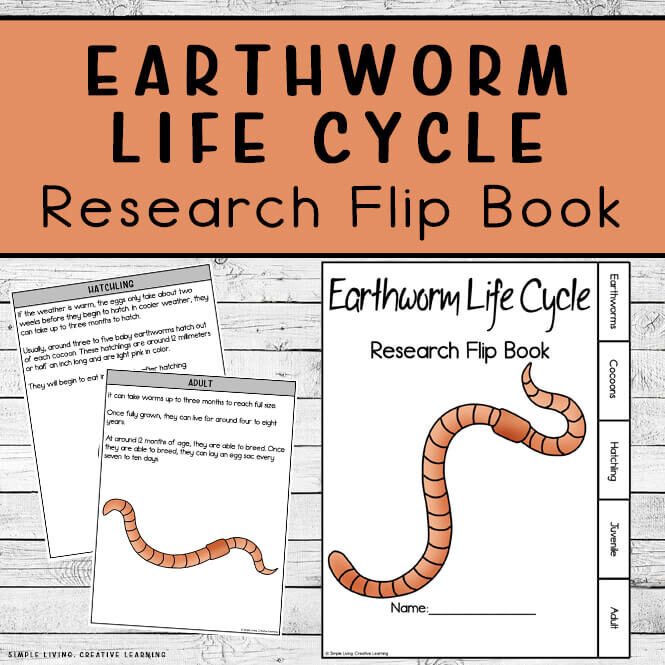 Earthworm Life Cycle Research Flip Book