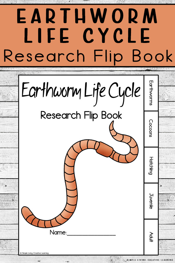 Earthworm Life Cycle Research Flip Book