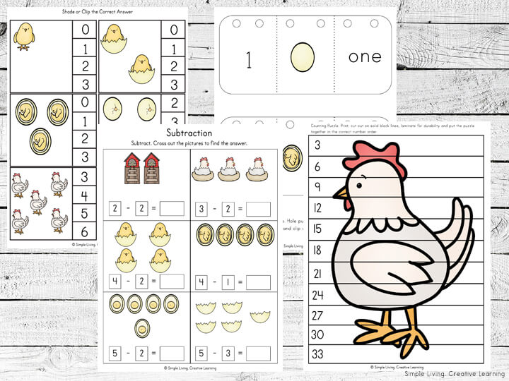 Chicken Life Cycle Printables