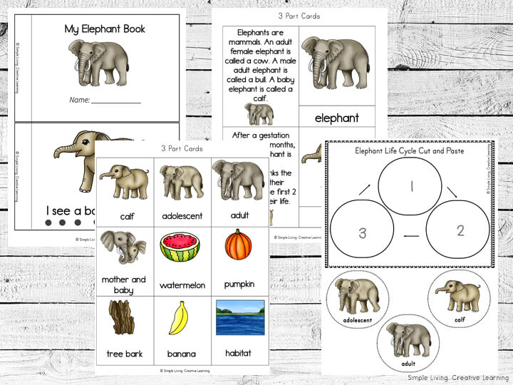 Elephant Life Cycle Printables