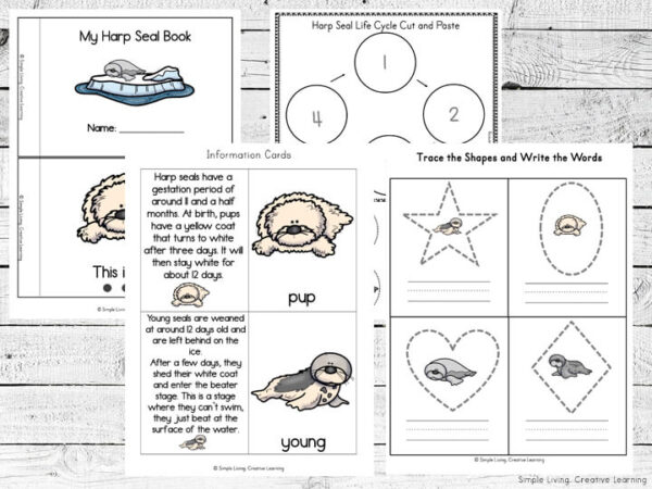Harp Seal Life Cycle Printables - Simple Living. Creative Learning