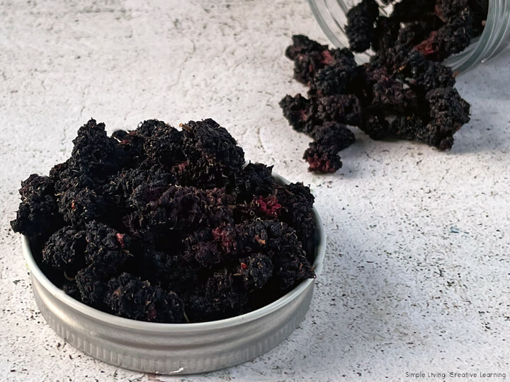 How to Dehydrate Mulberries