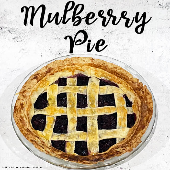 Homemade Mulberry Pie