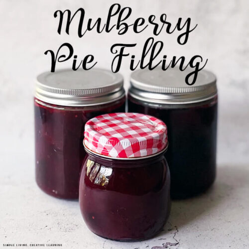 Mulberry Pie Filling