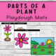 Parts of a Plant Playdough Mats