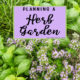 Planning a Culinary Herb Garden