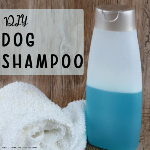 DIY Dog Shampoo in a bottle