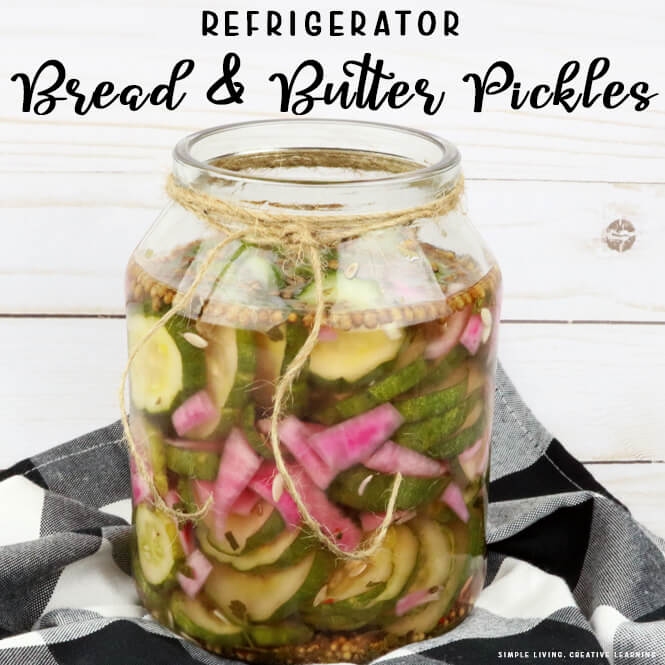 Refrigerator Bread and Butter Pickles in a jar
