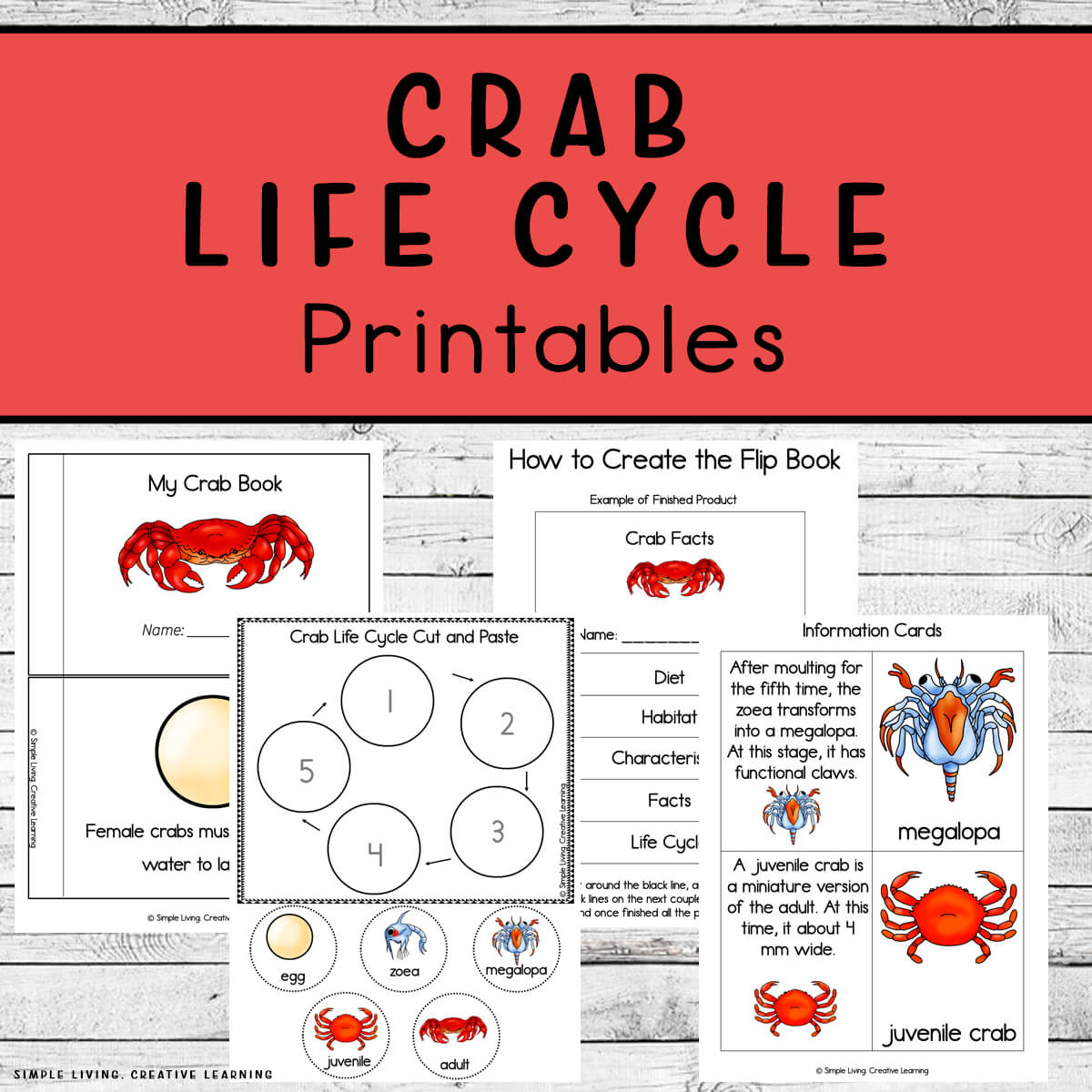 Crab Life Cycle Printables four pages