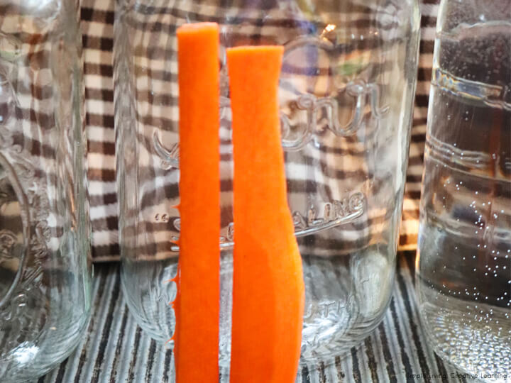 Fermented Carrots and Celery - Cutting carrots
