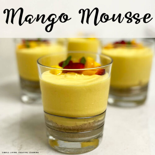 Mango Mousse One Jar in Front